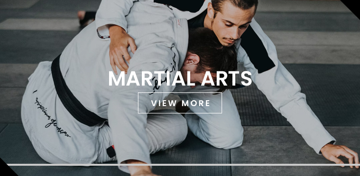 MARTIAL ARTS